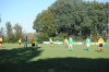 egvv_dsc_1186.jpg